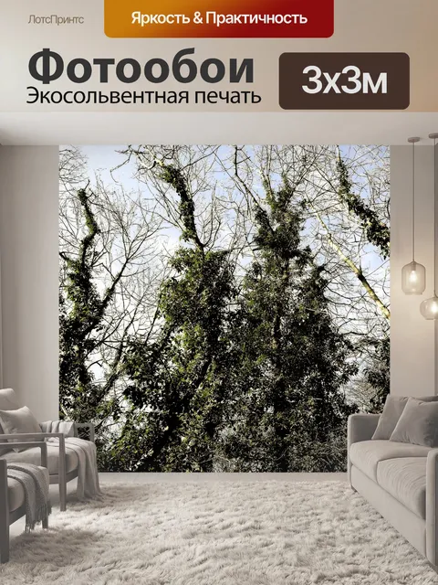 Фотообои Деревья