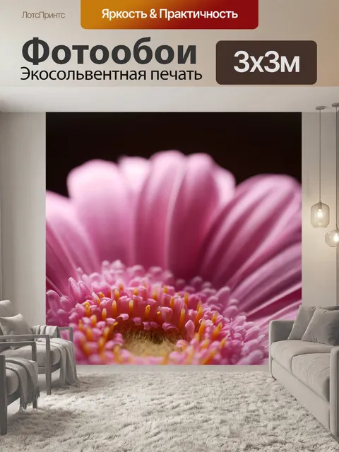 Фотообои Гербера