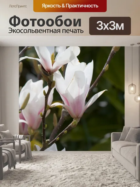 Фотообои Цветет Магнолия дерево
