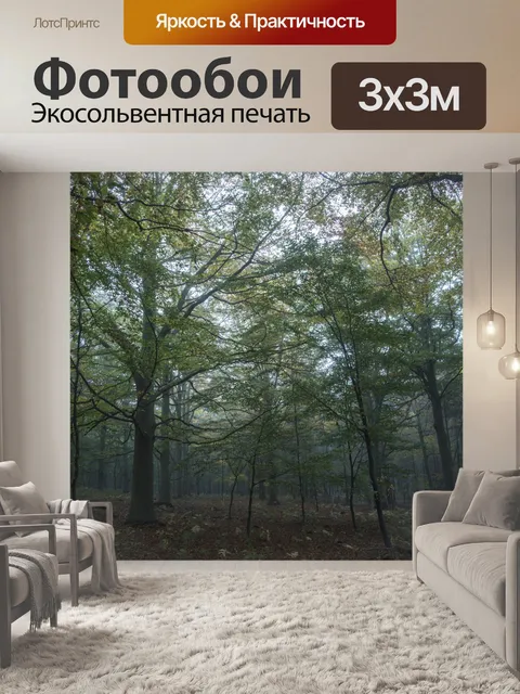 Фотообои Туманный лес