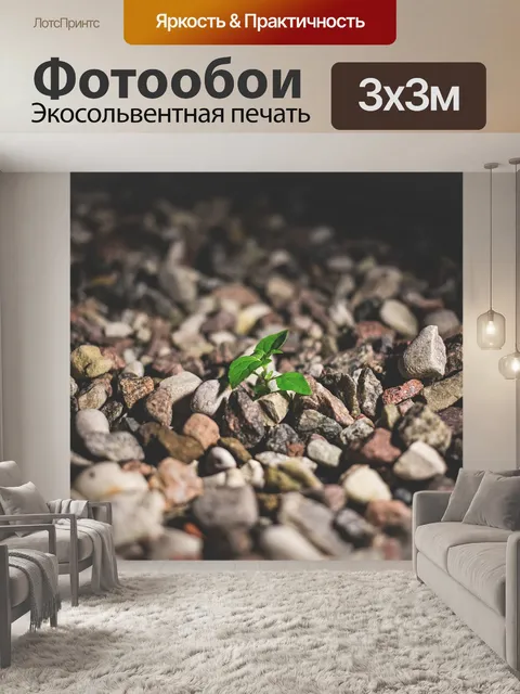 Фотообои Город