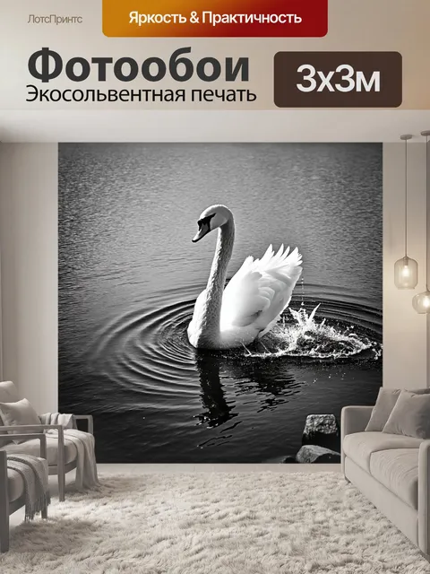 Фотообои загадочный момент, когда лебедь поднимается из глубин озера, а вода струится с его перьев, обнажая камни на…