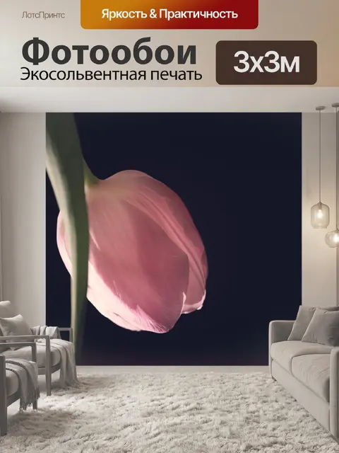 Фотообои Тюльпан