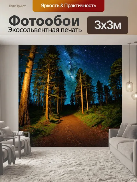 Фотообои ночной лес с звёздным небом, освещающим путь звёздным светом