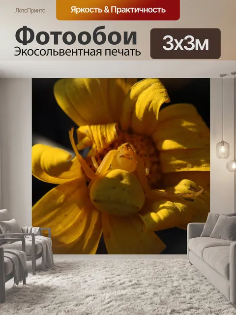 Фотообои желтый цветок краб паук
