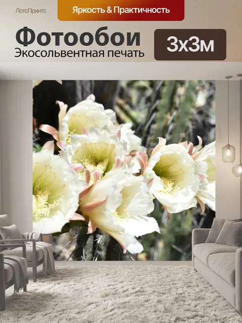 Фотообои Флора