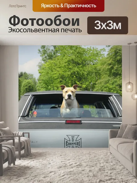 Фотообои Автомобиль