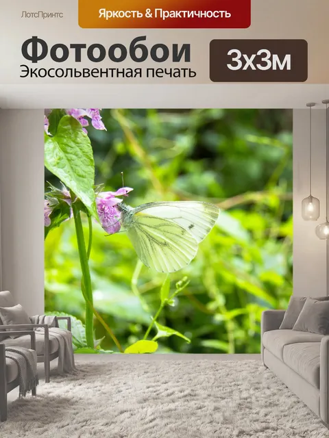Фотообои Бабочка