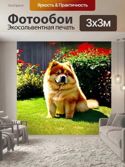 Фотообои чау-чау мирно сидит на заднем дворе, окруженный роскошными цветами и кустами