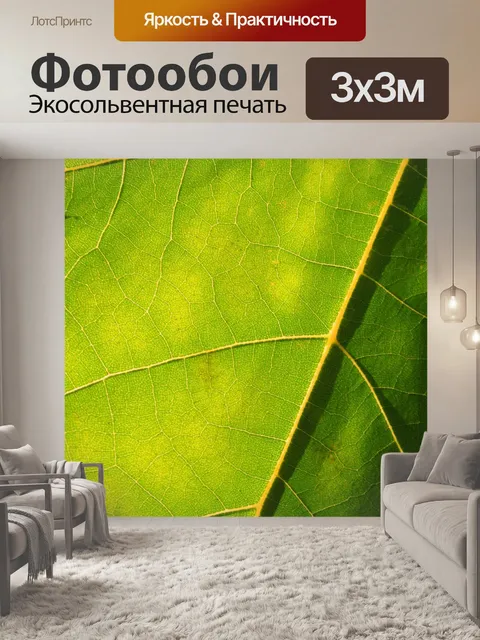 Фотообои Листья