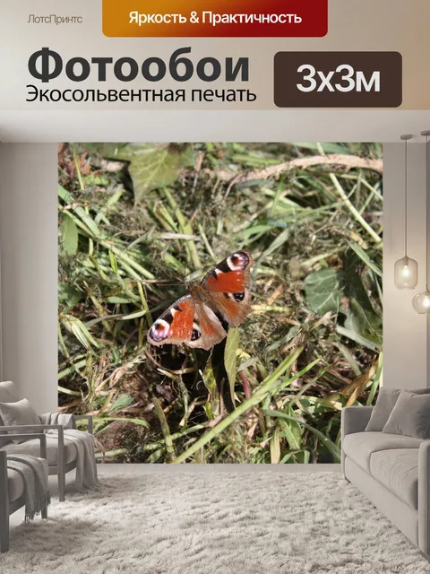 Фотообои Павлинья бабочка
