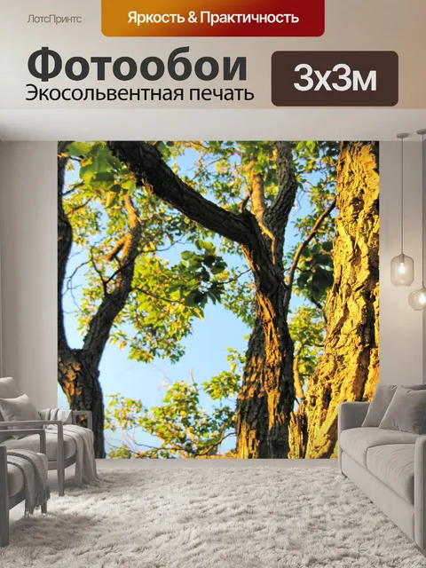 Фотообои дерево ствол и ветви в солнечном свете