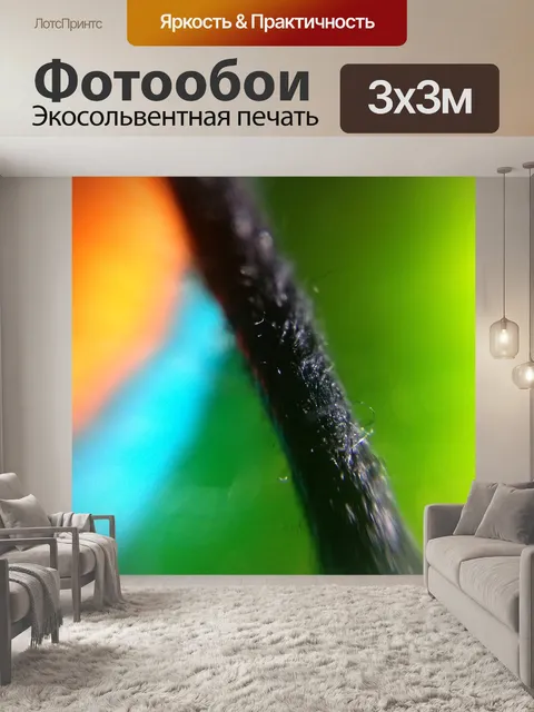 Фотообои Веревка
