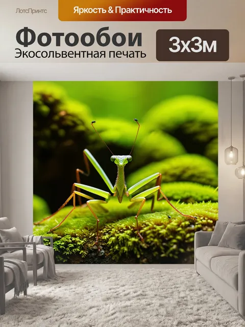 Фотообои микрофотография богомола на фоне бурлящего зелёного мха, ловящего мельчайших насекомых