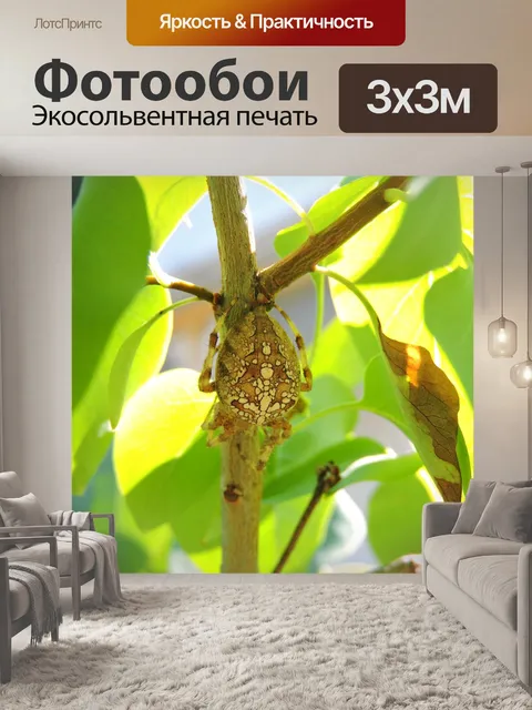 Фотообои Насекомое