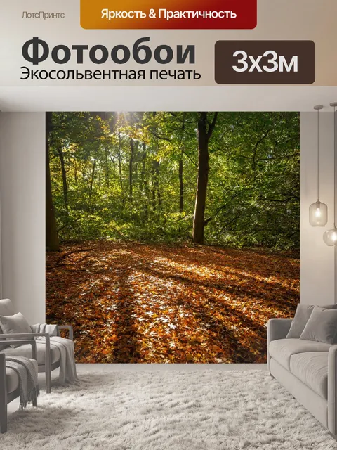 Фотообои с листьями в густом лесу, где солнечные лучи пробиваются сквозь листву, создавая волшебные тени на земле
