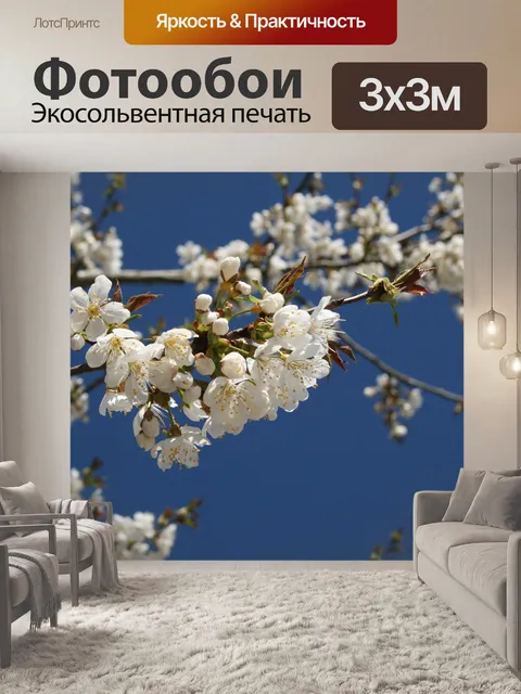 Фотообои Вишня