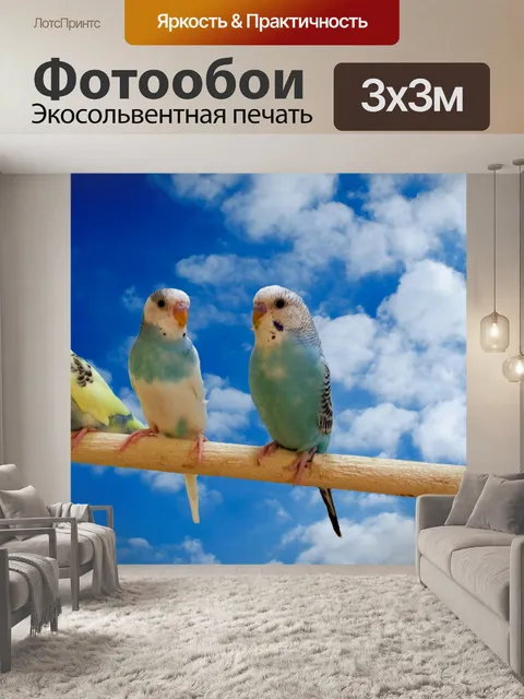 Фотообои Попугаи