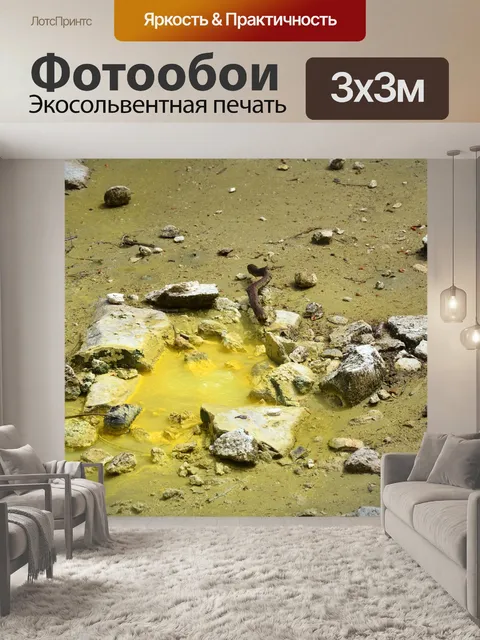 Фотообои Природа