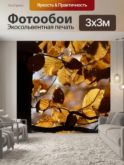 Фотообои Бук