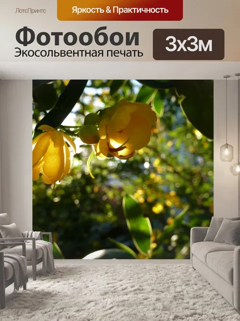 Фотообои Цветок