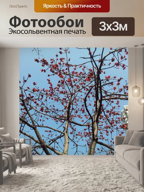 Фотообои Сейба дерево цветами без листьев