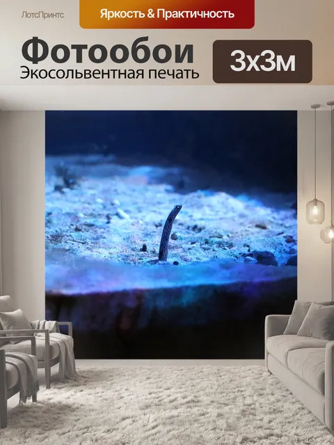 Фотообои Аквариум