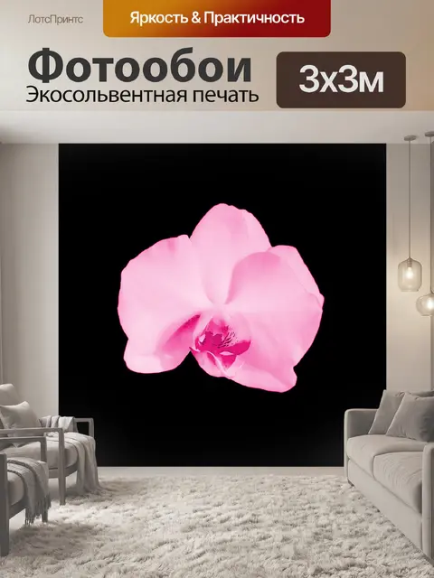 Фотообои Розовая орхидея