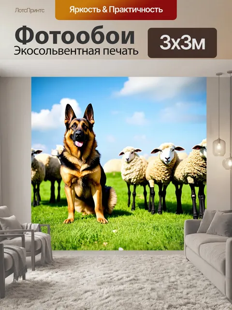 Фотообои овчарка, охраняющая загон с овцами на зеленом пастбище, напряженное выражение лица и внимание на окружающее…