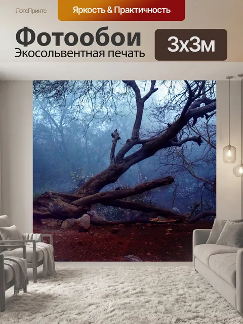 Фотообои Туманный лес 5
