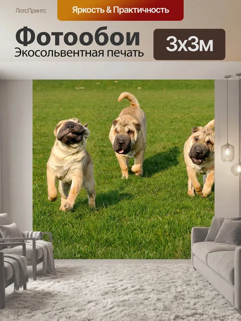 Фотообои Собака Шар Пей Щенок