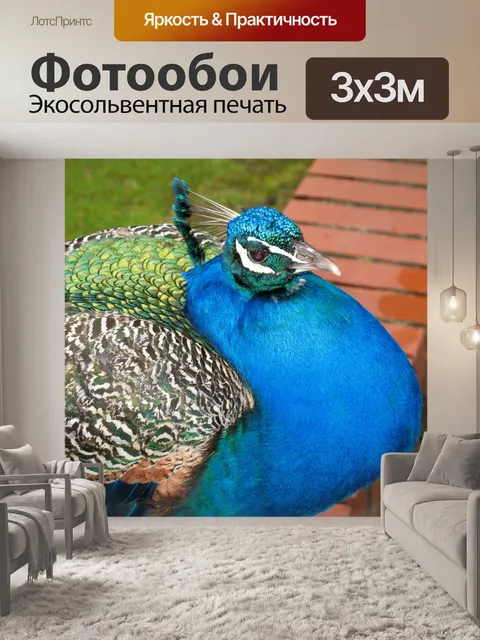 Фотообои Птица