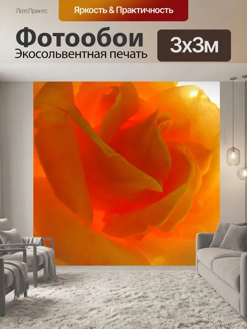 Фотообои Роуз