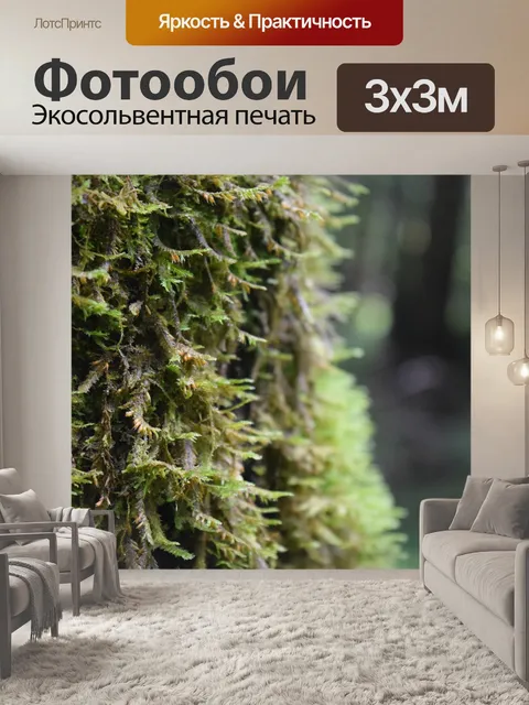 Фотообои Мох