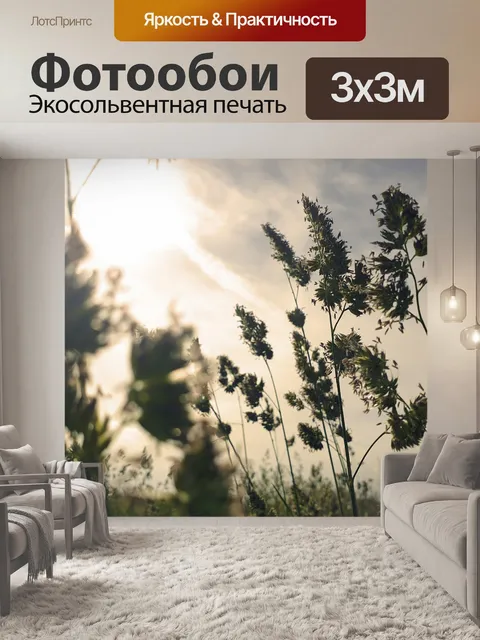 Фотообои Поле летом