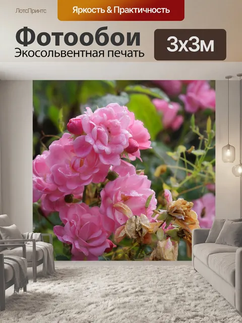 Фотообои Шиповник цветы цветы розы