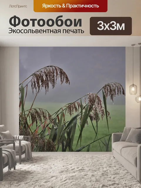 Фотообои Трава