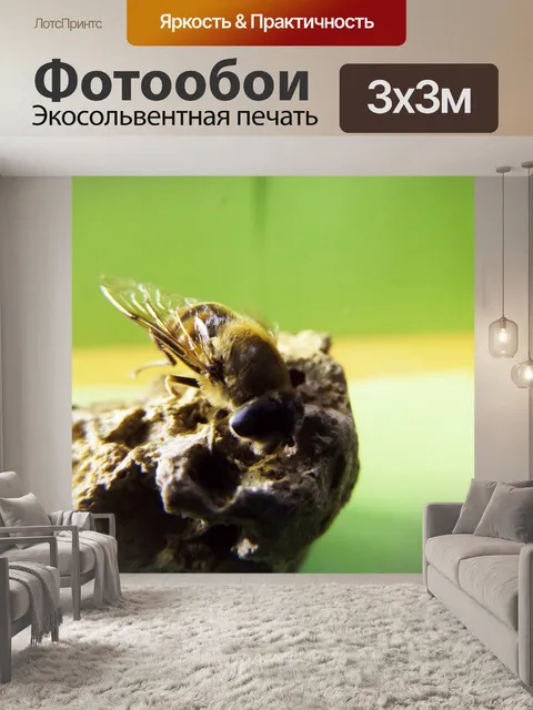 Фотообои Фон