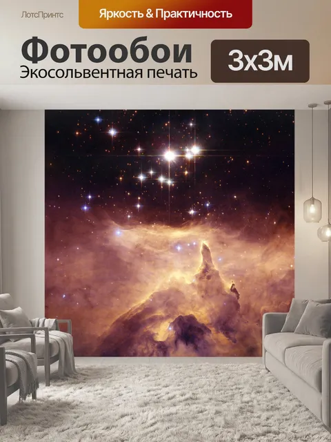 Фотообои Он указывает путь