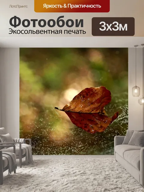 Фотообои Осенние листья паутины капли