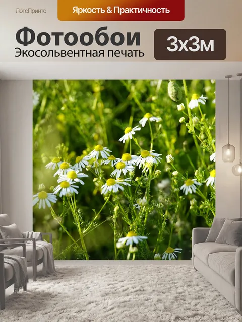 Фотообои Ромашка