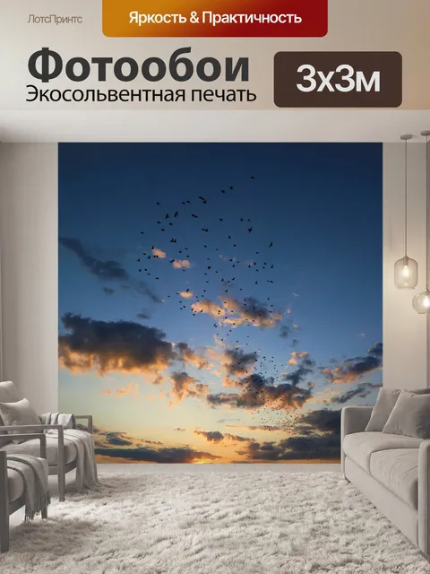 Фотообои Птицы