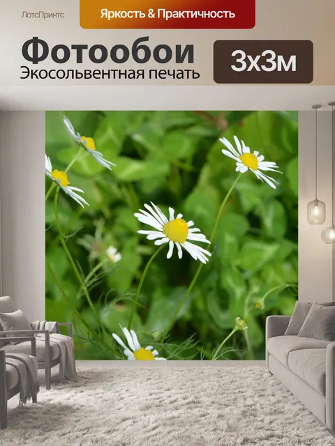 Фотообои Белые цветы