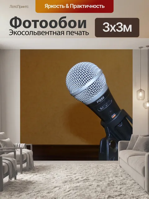 Фотообои Микрофон