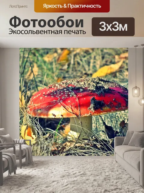 Фотообои Поганка