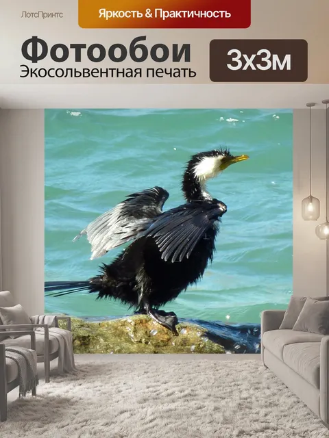 Фотообои Водоплавающая птица