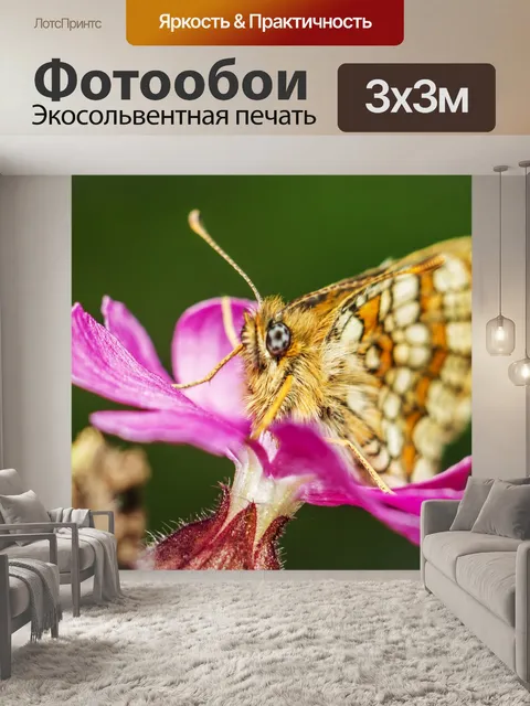 Фотообои Маленькая жемчужина-граничит рябчик