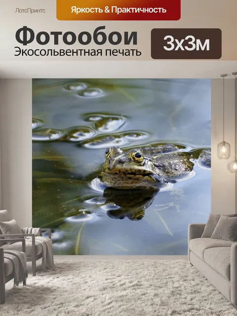 Фотообои Обыкновенная лягушка пруд зеркальное ото