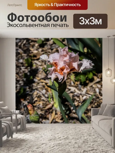 Фотообои Нежный розовый цветочный сад