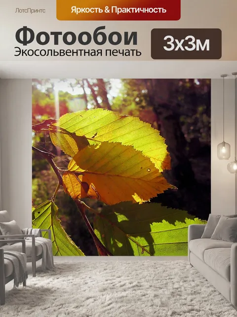 Фотообои Осень